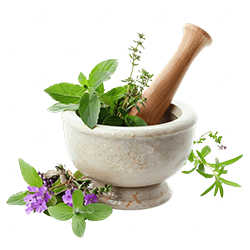 ayurveda